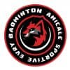 Logo Amicale Sportive Evry Badminton