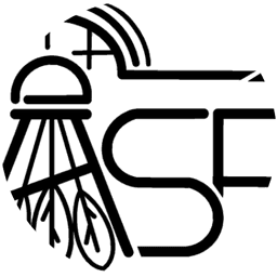 Logo Association Sportive de Flavigny