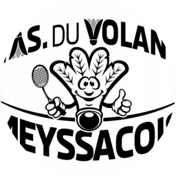 Logo Association du Volant Meyssacois