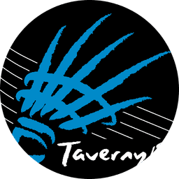 Logo As Du Volant