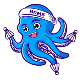 Logo B.C. Musau Strasbourg