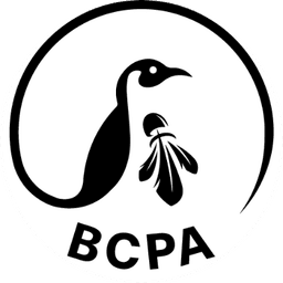 Logo Badminton Club du Pays d'Aixe