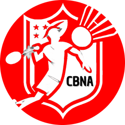 Logo Club de Badminton Noyers/Ancy le Franc