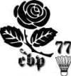 Logo Club De Badminton Provinois