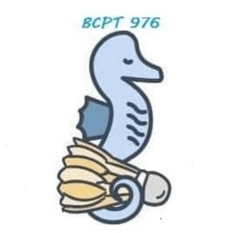 Logo Club de Badminton de Petite Terre