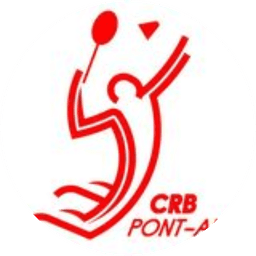 Logo Club Rislois De Badminton