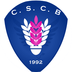 Logo Club Sportif De Courtry Badminton