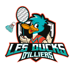 Logo LES DUCKS D’ILLIERS - BADMINTON