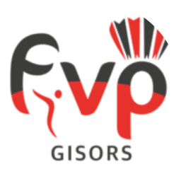 Logo Les Fous Du Volant A Plumes