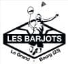 Logo Les Grands Barjots de Le Grand Bourg