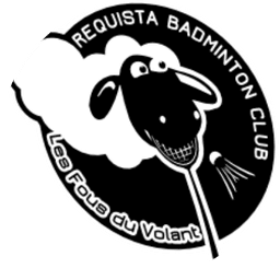 Logo Les Fous du Volant Requista