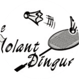 Logo Le Volant Dingue