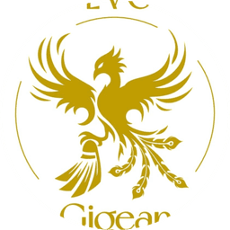 Logo Le Volant Gigeannais