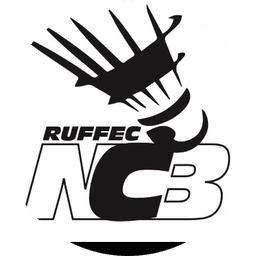 Logo Nord Charente Badminton