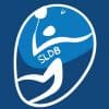 Logo Sports Et Loisirs Dommartinois Badminton