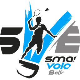 Logo Smash Volant Bellevigny