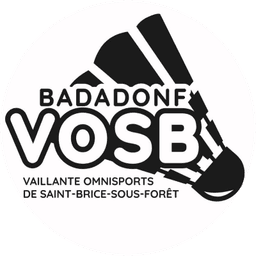 Logo Vaillante Omnisport  Saint Brice